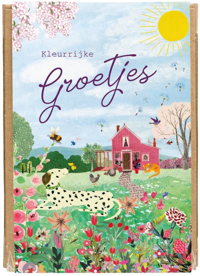 Blossombs Bloembommetjes Giftbox Mini - 4 Zaadbommetjes - Kleurrijke Groetjes
