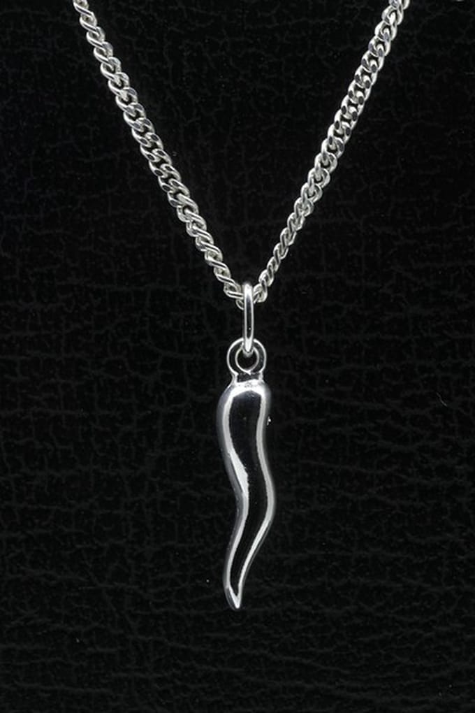 Zilveren Gelukswortel ketting hanger