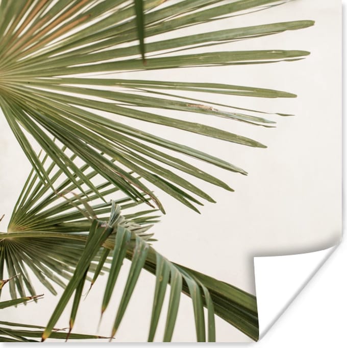 Poster Palmbladeren - Groen - Natuur - 75x75 cm