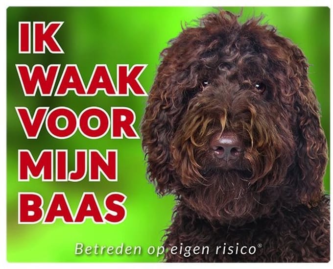 Labradoodle Waakbord - Ik waak voor mijn baas bruin