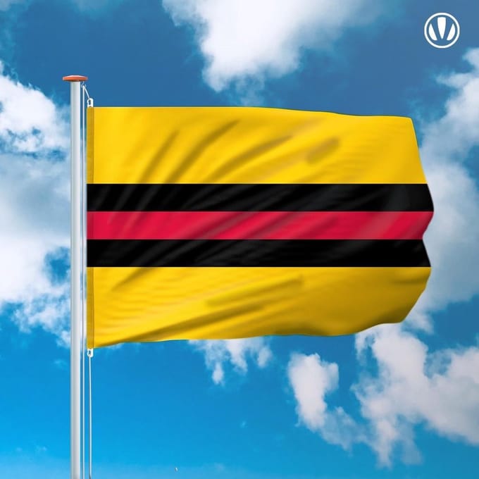 Vlag Woudenberg 150x225cm