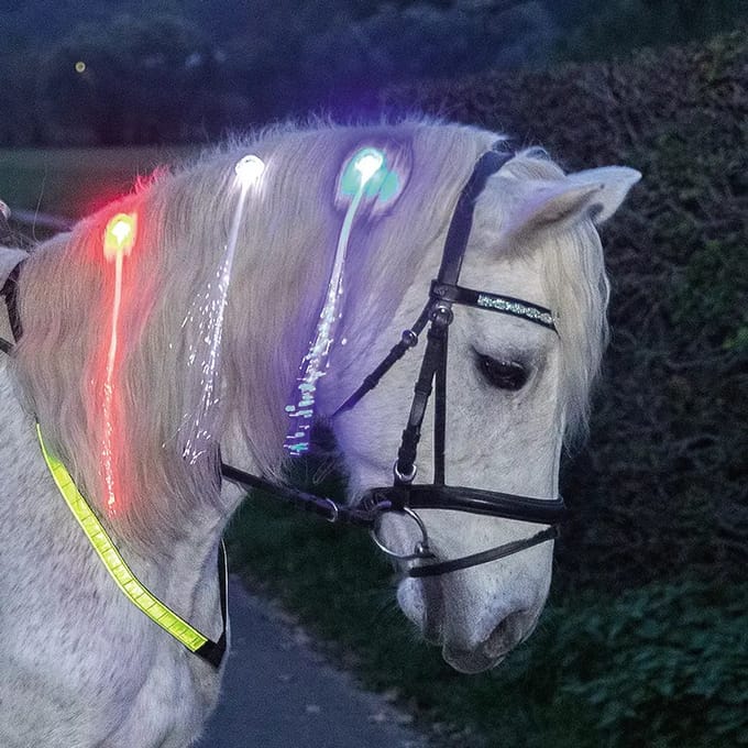 LED-haarspelden USG (x4)
