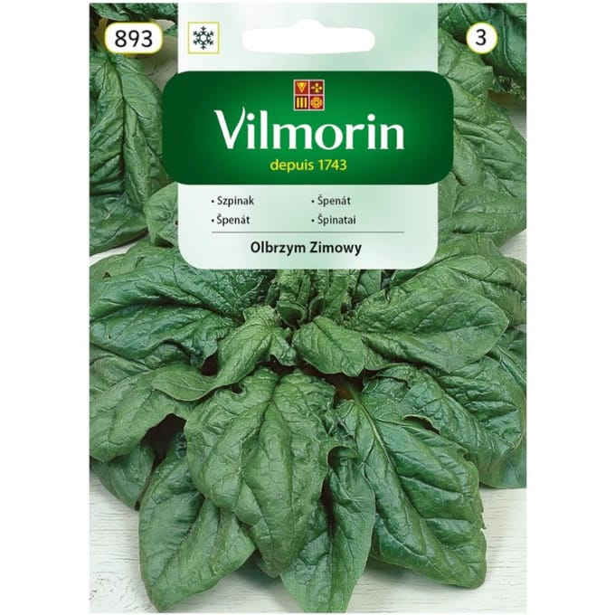 Graines d'Epinards Géant d'Hiver Gigante de Invierno 20g - VILMORIN