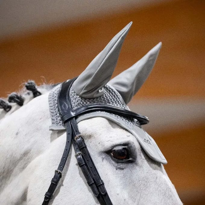 Paardenmuts Alessandro Albanese