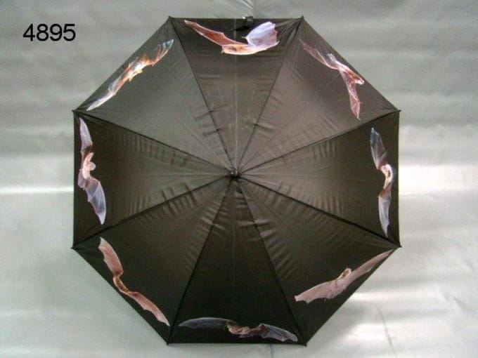 Zwarte Paraplu Vleermuis – 106 cm – Uniek Design – Geschikt voor Halloween