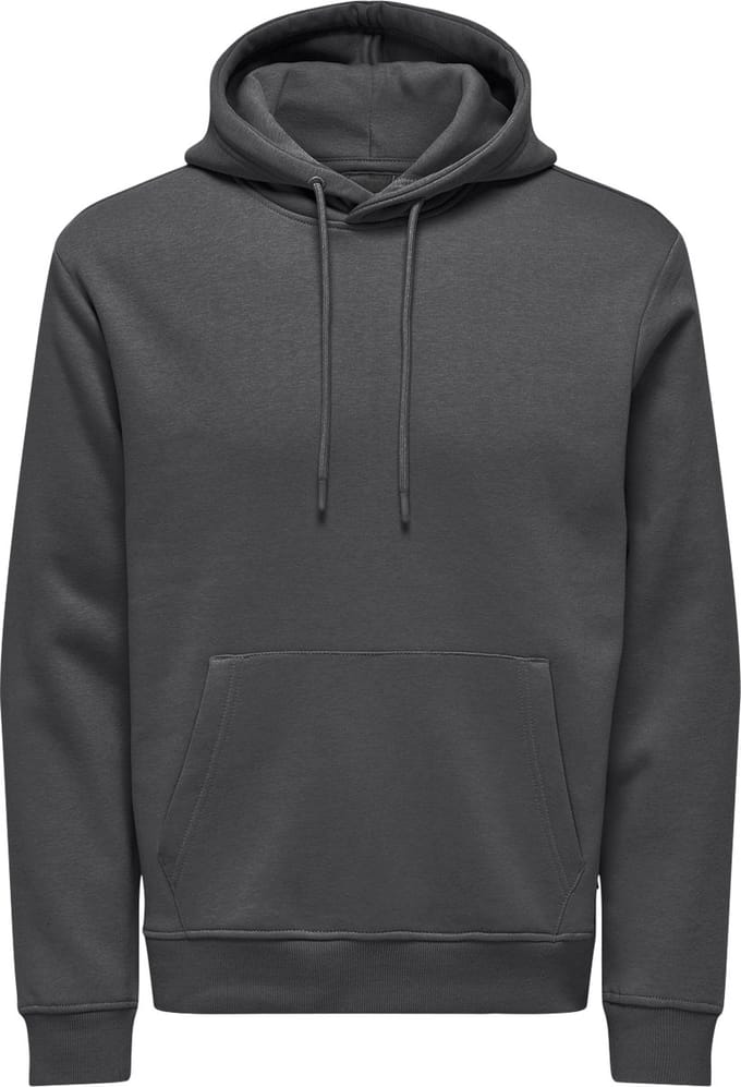 ONLY&SONS - ONSCONNOR LIFE REG SWEAT HOODIE NOOS - Heren - Sweaters