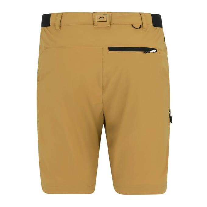 Regatta Professional Heren Lichte Insectenwerende Reisshort (Hout Bruin)