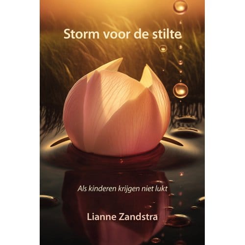 Storm Voor De Stilte - Lianne Zandstra