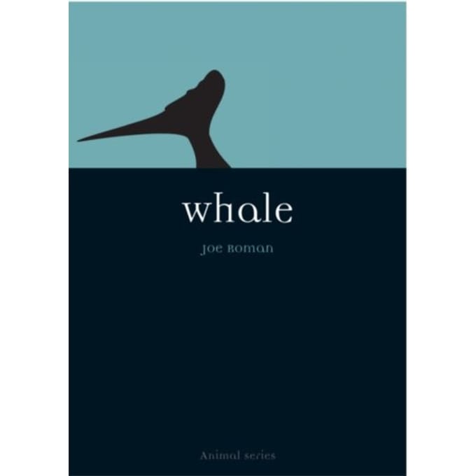 Whale - Animal - Joe Roman