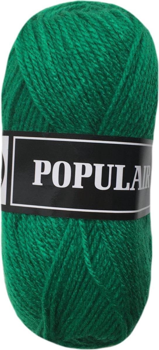 Beijer BV Populair acryl garen - kerst groen (95) - 20 bollen