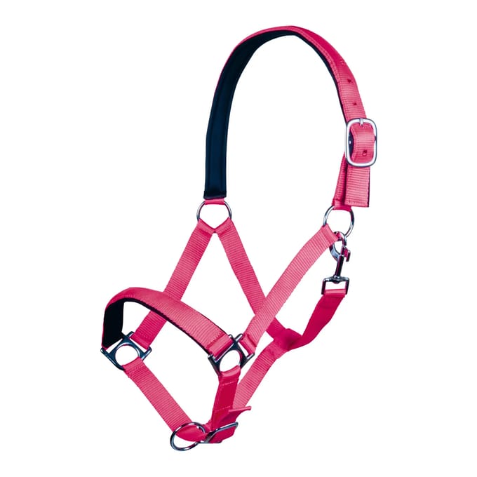 Halster voor paarden HKM Stars Softice