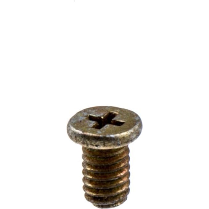 Screw