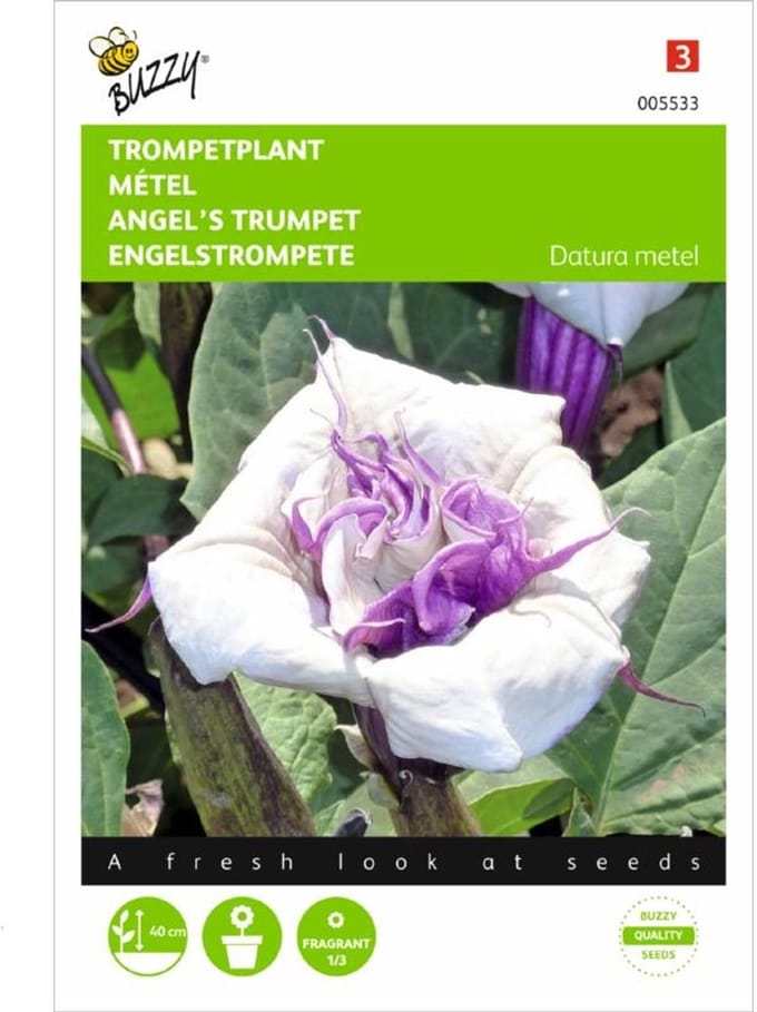 Buzzy Zaden - Doornappel (Datura metel)