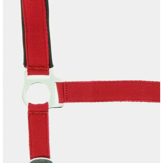 Halter Norton Doublé néoprène