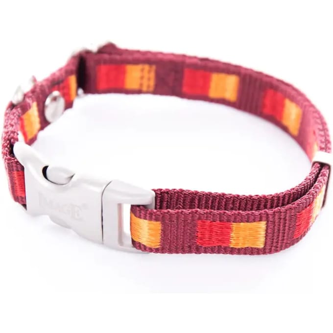 Hondenhalsband Image Dream