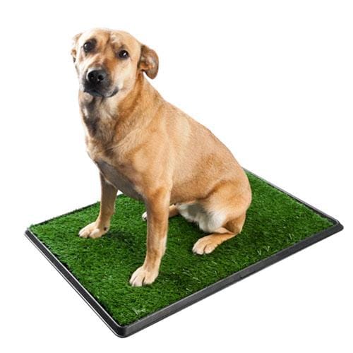 Honden toilet - Groot