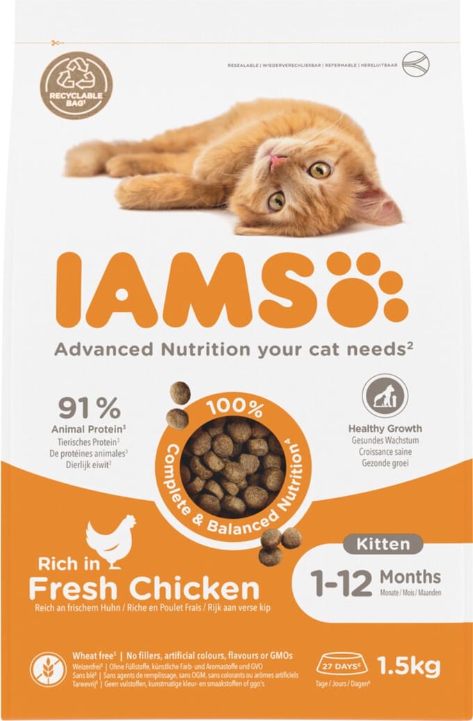 Iams Kat Kitten/Junior Kip 1,5 kg