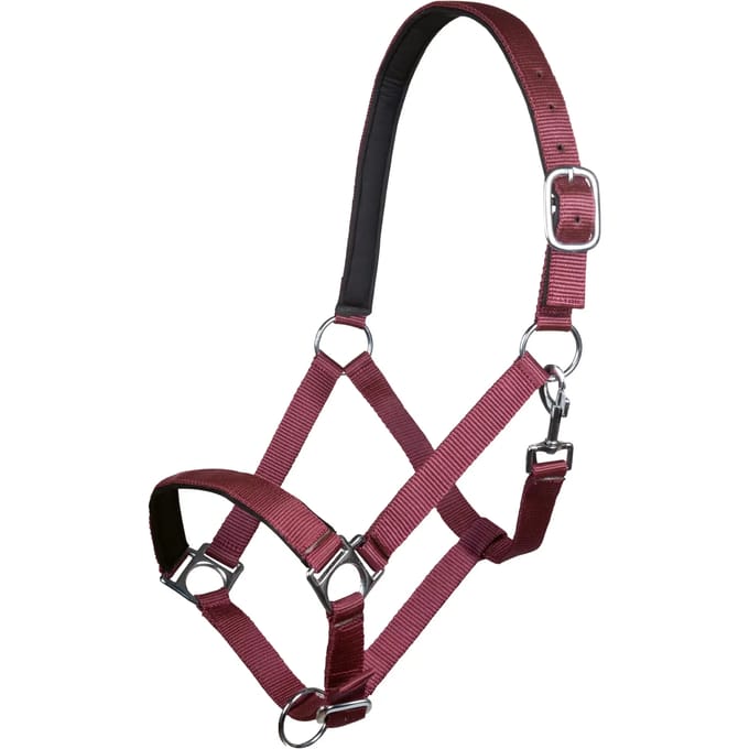 Halster voor paarden HKM Stars