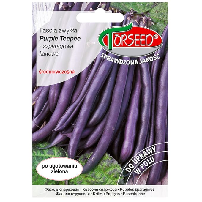 Paarse Tipi paarse bonen, verse groentezaden PREMIUM 30g