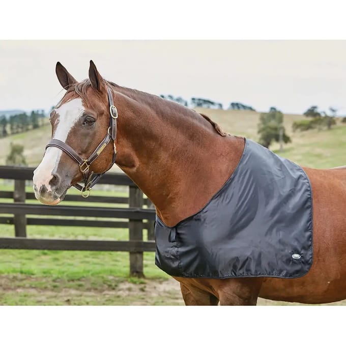 Satin borstbeschermer voor paard Weatherbeeta