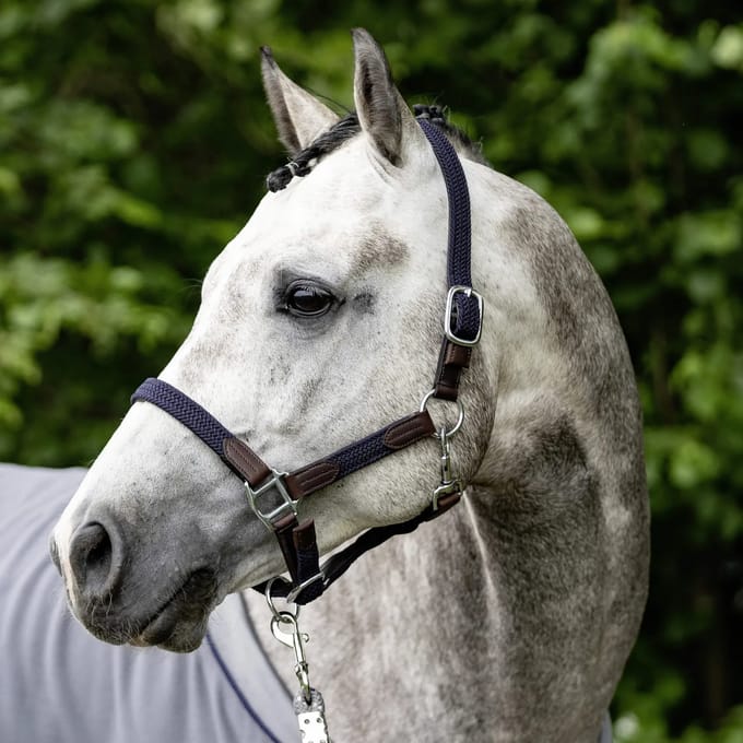 Halster voor paarden USG Ponylove