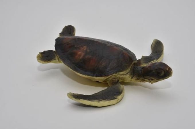 Schildpad 18x6x19 Cm