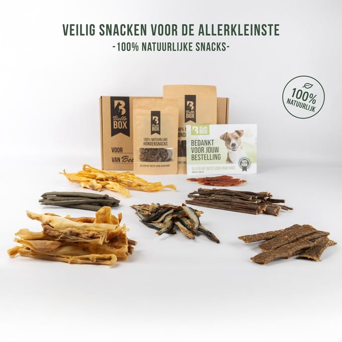 Hondensnacks Box Extra Kleine Honden tot 3 kg | Bellobox