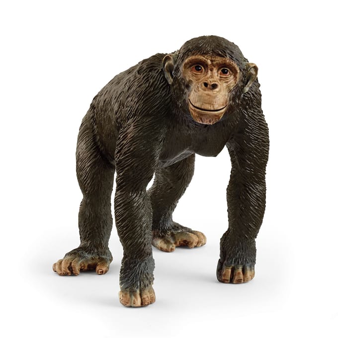 schleich WILD LIFE - Chimpansee - 14883