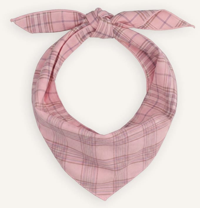 BONNIE STUDIOS Plaid Scarf Sjaals Dames - Roze - Maat ONESIZE