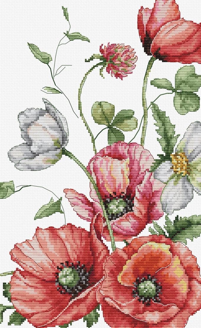 Luca-S The Field Poppies borduren (pakket) B7020