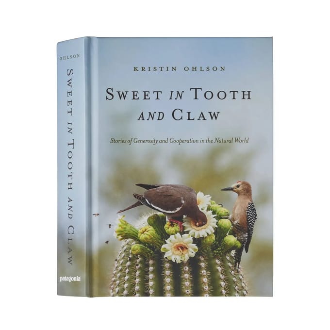 Boek Patagonia et in Tooth and Claw