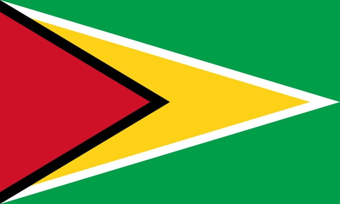 Vlag Guyana 30x45cm
