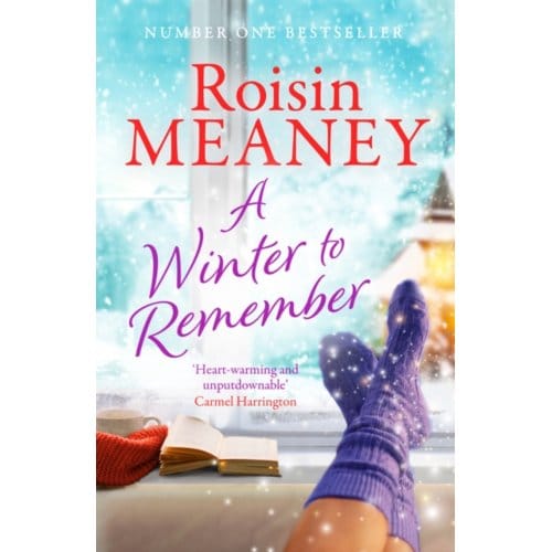A Winter To Remember - Roisin Meaney