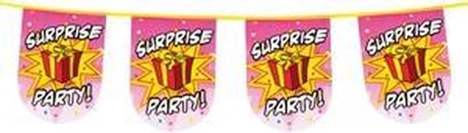 Vlaggenlijn half rond surprise party 8m