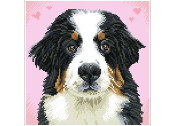 DIAMOND DOTZ Dog Zuzu - Diamond Painting - 11.664 Dotz - 29x29 cm