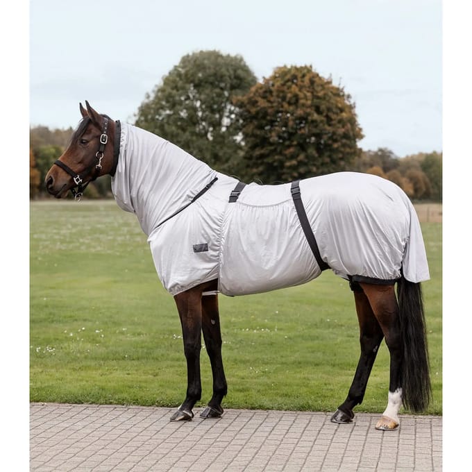 Paardenvliegendeken Waldhausen Basic