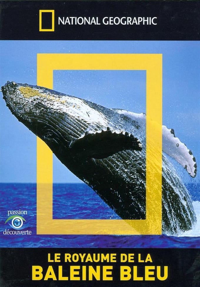 Baleines Bleue