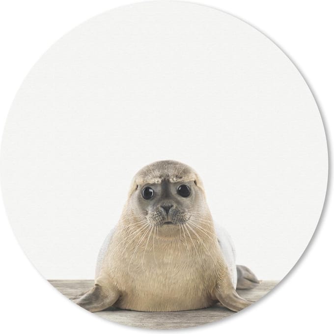 Muismat rond 20x20 cm - Mousepad Dieren - Zeehond - Wit - Ronde muismatten