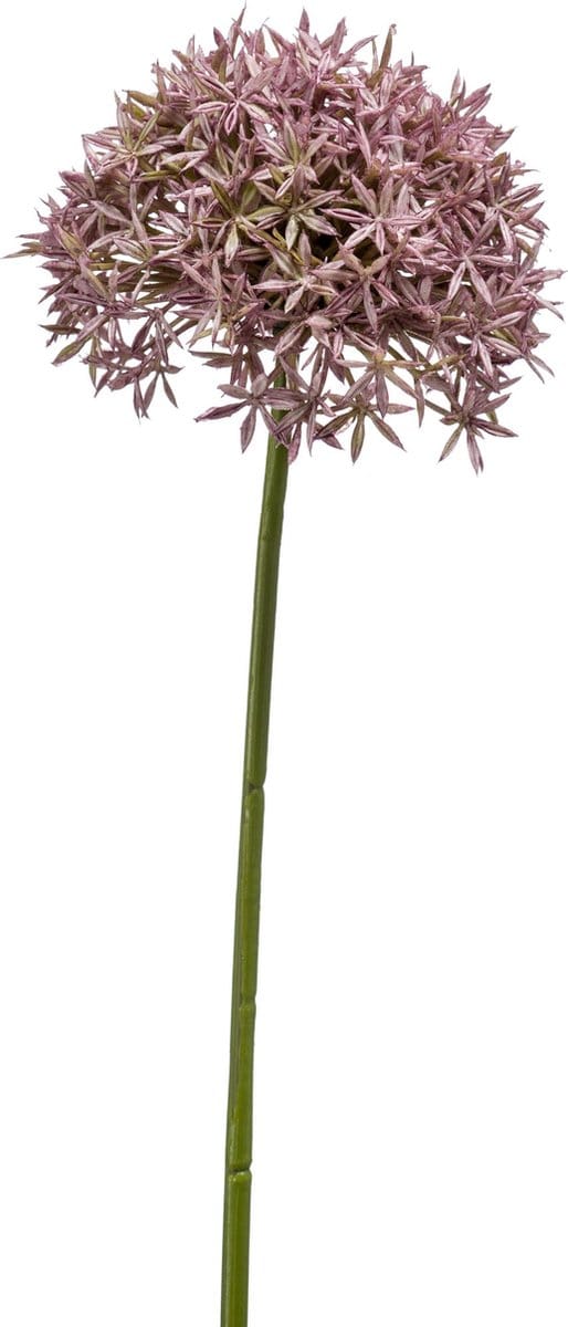 Emerald - Kunstbloem Allium 62cm lila - Kunstplant voor binnen