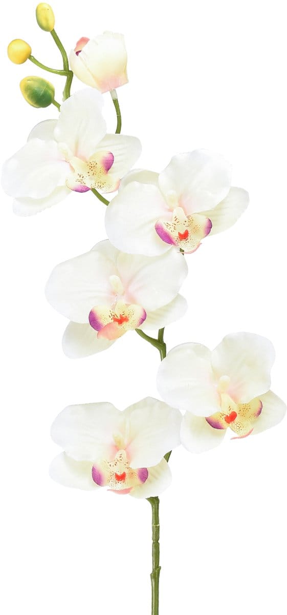 Orchidee Phalaenopsis kunst 6 bloemen crème roze 70cm