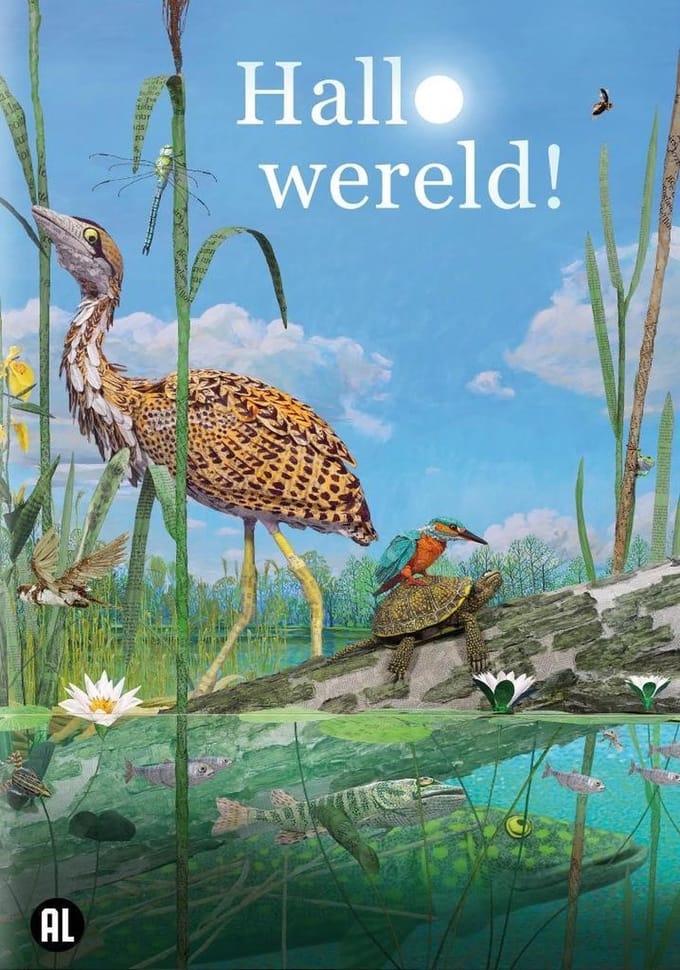 Hallo Wereld (DVD)