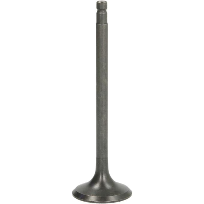Uitlaatklep FRECCIA R6981/RARNT