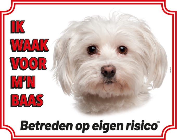 Maltezer Waakbord 20 x 25 cm