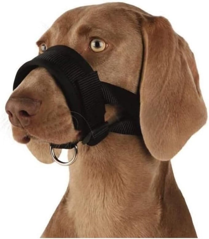 Verstelbare Nylon Honden Muilkorf met Neopreen Voering - Zwart