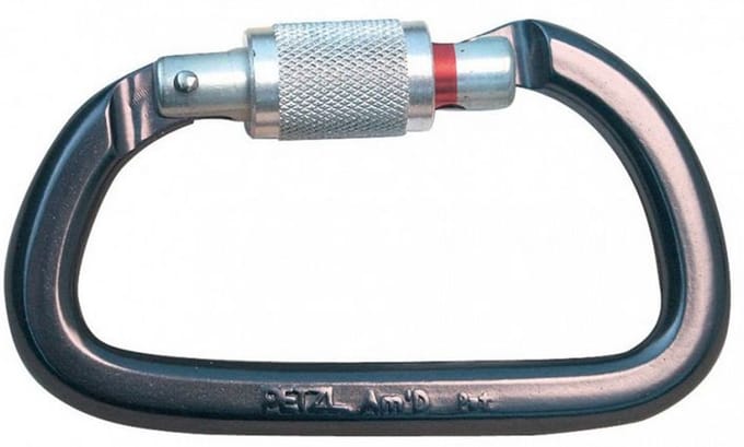 Petzl Am'D Screw Lock Asymmetrische schroefkarabiner zilver