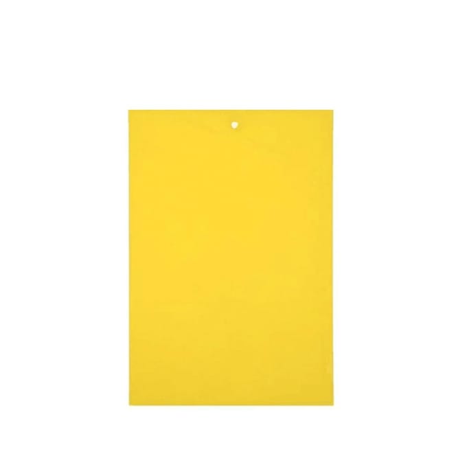 20 stuks Sterke Vliegenvallen Bugs Kleverig Bord Vangen Bladluis Insecten Ongediertemoordenaar 20pcs white
