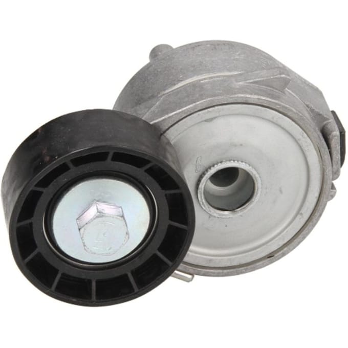Riemspanner, Poly V-riem DAYCO APV2556