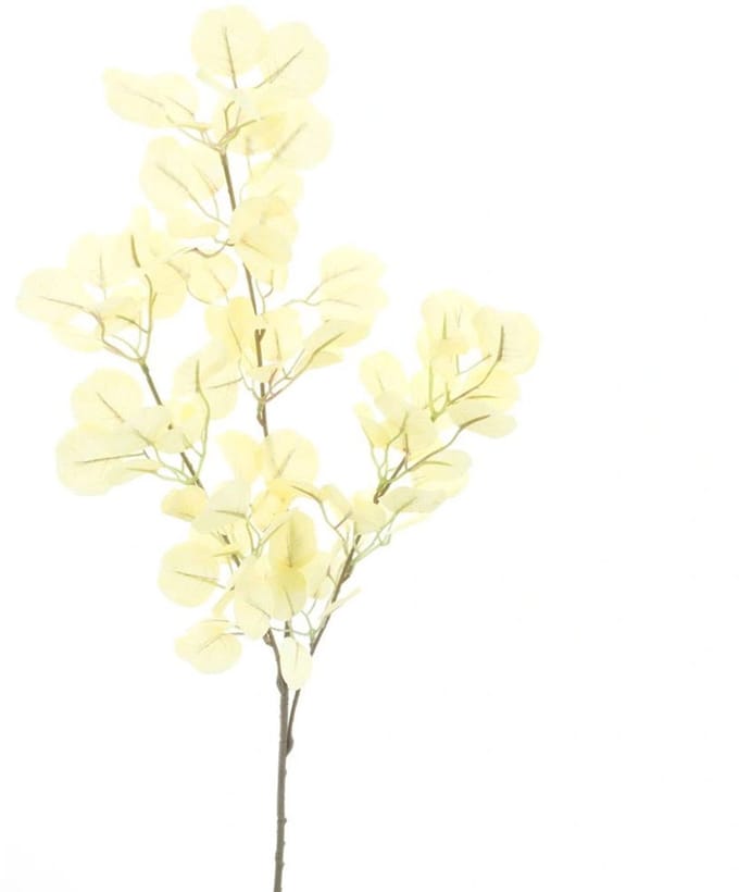 Eucalyptus spray ampezzo geel 60 cm kunsttak Buitengewoon de Boet