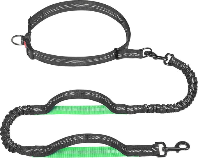 Verstelbare Handsfree Hondenriem met Dubbele Greep en Reflectie voor Hardlopen
