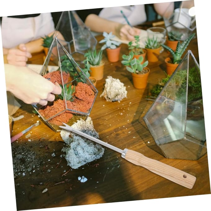 Hand Wieden Tool - Onkruidsteker Dandelion - Tuinieren - Ergonomisch Handvat - 30 cm - Niet gespecificeerd